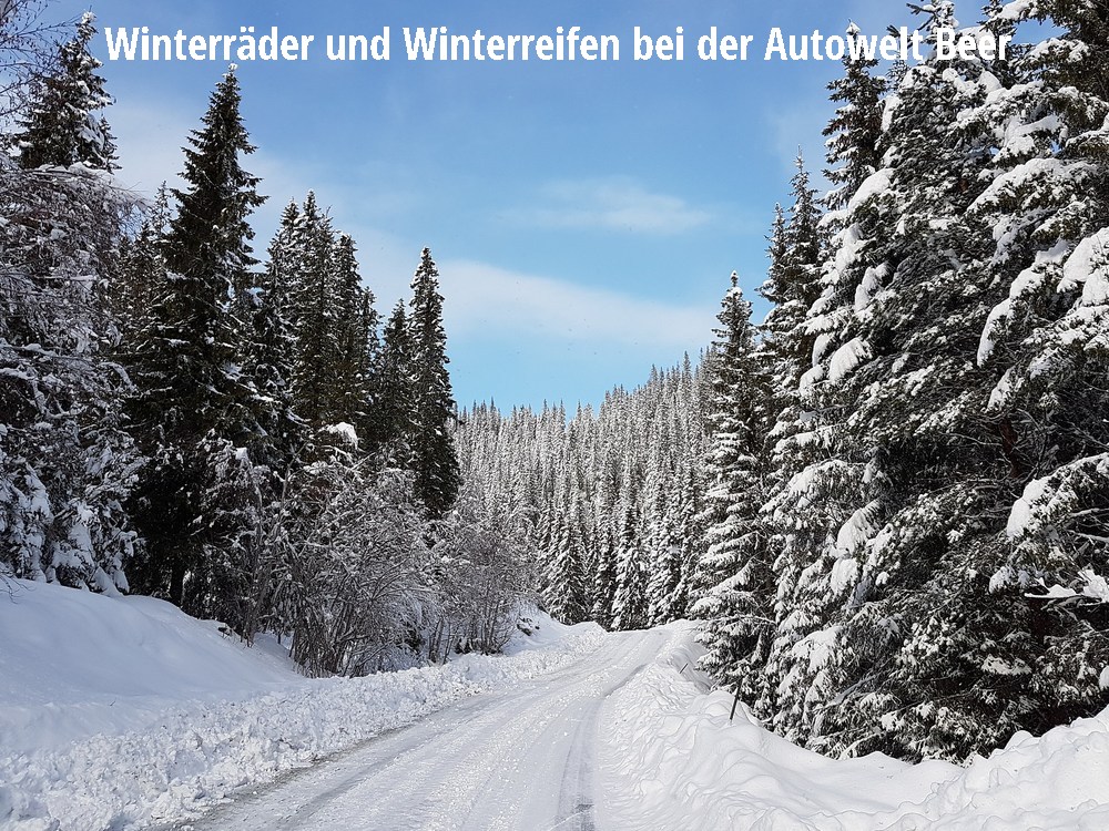 strasse im winter