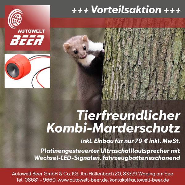 marderschutz